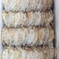 鱿鱼干 海味干货北海特产